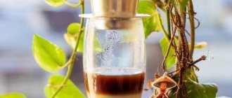 кофе по-вьетнамски как приготовить рецепт традиционный вкус белый вьетнамский кофе из вьетнама как приготовить где купить фин вьетнамская чашка для заваривания кофе мистер вьет самый вкусный кофе