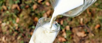 Skolko_moloka_v_stakane_How much milk is in a glass