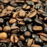 coffee beans of different roasts